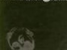 Nirvana Melvins Split 7