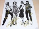 ABBA group signed original 10x8 photo AUTOGRAPH