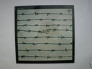 LP DIES  IRAE   First   Pilz   BASF  1971  RAR
