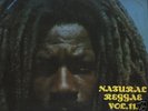 BAMBOO/NATURAL REGGAE VOL. 11 - VARIOUS ARTIST [LP]