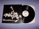 BLACKTHORN--1st LP--RARE FOLK--1977.
