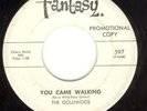Golliwogs (Early CCR)  
