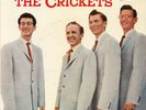 EP BRUNSWICK  71038 THE SOUND OF THE CRICKETS  M-