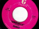 Punkish Garage/Psych - Sonics -