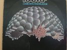 RAMP. COME INTO KNOWLEDGE. ORIGINAL ROY AYERS PROD. LP.