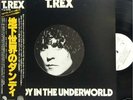 T REX-DANDY IN THE UNDERWORLD-JAPAN PROMO WL+OBI