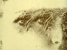 BATTIATO SULLE CORDE DI ARIES lp progressive ita