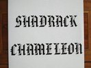SHADRACK: Chameleon Orig US PSYCH , MINT