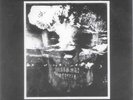 ANTI-CIMEX victims EP *oRiG.1984 GIGA RARE HCpUnK GEM*