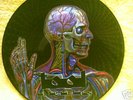 Tool Lateralus 12