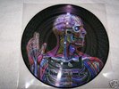 TOOL - Lateralus Picture Disc - rare PROMO vinyl 12