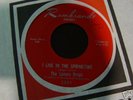 THE LEMON DROPS i live in the springtime 45 NM PROMO