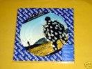 PINK FLOYD - Delicate sound of thunder BRAZIL PICTURE