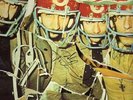 The Who AMAZING AUTOGRAPHED LP COVERw/MOON