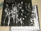 NURSE WITH WOUND LP / INSECT AND INDIVIDUAL SILENCED