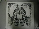 Ant Trip Ceremony RARE PSYCHODELIA PRIVATE PRESSING M-