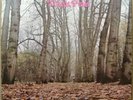 TWINK-THINK PINK-RARE'70 Nr.MINT UK LP(A1/B1)+Lyric Ins