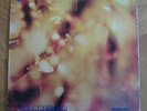 Steamhammer 69 UK PSYCH debut lp Reflection *MINT*