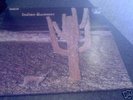 INDIAN SUMMER. ORIGINAL R.C.A.NEON 1971 ALBUM(+ PHOTO)