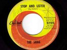 punkish Garage/Psych-The Shag -