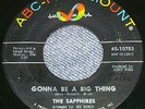 The Sapphires *Gonna Be A Big Thing* 1965 Northern Soul