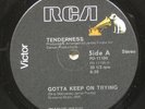 TENDERNESS Gotta Keep On Trying RARE Disco 12