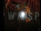 WASP-Rare Animal F++k like a beast Signed