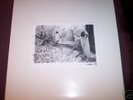 Sunn White Boxset 3xlp 1xpic disc (Boris, Wolf Eyes)