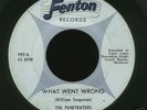 MICHIGAN Garage 45-The Penetraters-What Went Wrong