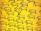 Pink Floyd - Big Pink  rare   lp  not  tmoq