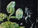 NUOVA IDEA / In The Beginning Italian Prog Orig 1st Lp