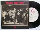 RADIO BIRDMAN Burn My Eye EP punk KBD original 1976