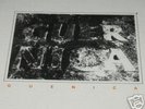 GUERNICA-ORANGE AND RED-12