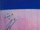 DESERT SESSIONS Vol 1 10