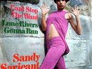SANDY SARJEANT Can't Stop.. 7