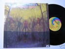 1969 UNI Psych LP AMERICAN BLUES Do Their Thing ZZ TOP