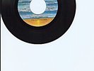 FUNK 45 - THE SISTERS LOVE - 