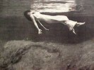 BILL EVANS 