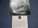 BELLE AND SEBASTIAN - MINT TIGERMILK + JEEPSTER LETTER