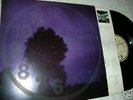 Afterhours DURING CHRISTINE'S SLEEP raro LP VP9 Agnelli