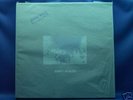 WHITE HEAVEN Next to Nothing LP Ltd.250 JAPAN PSYCH