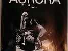 CHENE NOIR Aurora