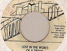 THE SHARPETS -LOST IN THE WORLD OF A DREAM NORTHERN 45