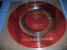 Alan Parsons Project Vulture Culture promo picture disc