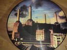 PINK FLOYD    ANIMALS     picture pic disc 12