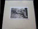 Sunn White Box Set Boris Khanate Limited