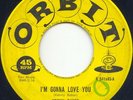 KENNY BAKER- I'M GONNA LOVE YOU-ROCKABILLY 45- ORBIT