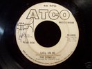 Northern Soul 45 THE DYNELLS on ATCO Call On Me