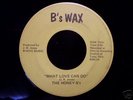 Rare 70's Soul 45 THE HONEY B's on B's WAX  Listen