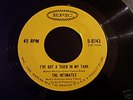 Rare Pre-Velvets Lou Reed 45 -The Intimates Stock Copy